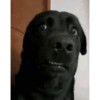 Laughing 24