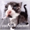 vao se foderent