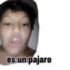 Kedamono y sus amigos 5