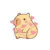 🦫💓 Capibara Amor 💓🦫 11