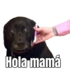 Memes sad 2 8