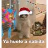 Reacciones de Navidad 🧑🏻‍🎄🎄🎁 11