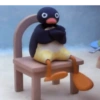 Pingu 🐧 14