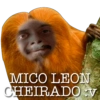 MICO LEON CHEIRADO:V