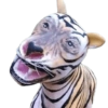 KUCING 6