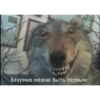Более смешные мемы🫶🏻 22