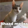 BTW.NISHU11 Bhaad me jaa