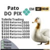 Pato DO PIX Tabela Trading $200 Retorno 2000 $250 Retorno2500 $300 Retorno3000 $350 Retorno 3500 $400 Retorno 4000 $500 Retorno 5000 Seguro Prático Rápido EM 4K HDR funny.co