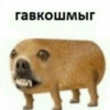 Более смешные мемы🫶🏻 20