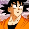 🐉🧡🖤Goku CC basé 🖤🧡🐉 10