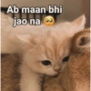 Ab maan bhi jao na