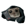 Hamster e non  22