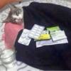 Gatitos 🐱 7