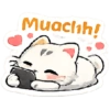 Bucin lucu 6