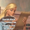 Querido diario hoy también me vieron la cara de payasa