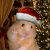 ANIMAIS NATALINOS ❤️🎅 3