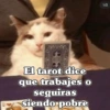 El tarot dice que trabajes o seguiras siendo pobre 1/2