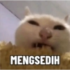 Meme Kucing #5 9