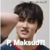 Stiker meme cortis😭 18