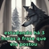 Reações + lobos 🐺 27