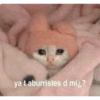 FIRIGHE ya t aburristes d mi¿? IRIS