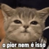 😶 ta phota meme 19