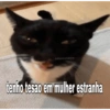 Gatitos 🐱 18