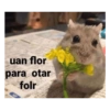 Eres un manco como Jair 17 😸 5