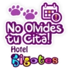 Bigotes frases 21