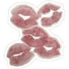 Kiss cat 13