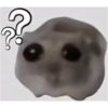 Hamster e non  27