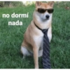 no dormí nada