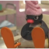 Pingu 🐧 15