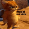 mucei mi vida