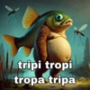 tripi tropi tropa tripa