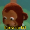 burra do krl