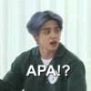 APA!?