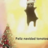 Navidad 🎄 15