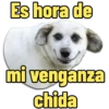 Es hora de mi venganza chida