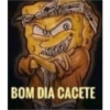 BOM DIA CACETE