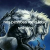 Reações + lobos 🐺 8