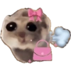 Hamster e non  25