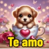 Amor 🫶🏻 13