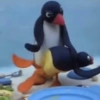 Pingu 🐧 9