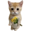 Kiss cat 19