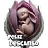 Magic bunny sleeping 🐰💤✨️ 17