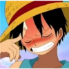 Luffy 26