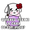 FLORKSITAV QUIERES VERME LA CARA DE EST PIDA?