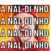 A NAL DI NHO A NAL DI NHO A NAL DI NHO A NAL DI NHO