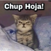 Chup Hoja!